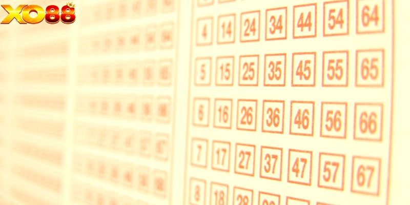 Những Kiến Thức Cơ Bản Về Lô Có Cầu